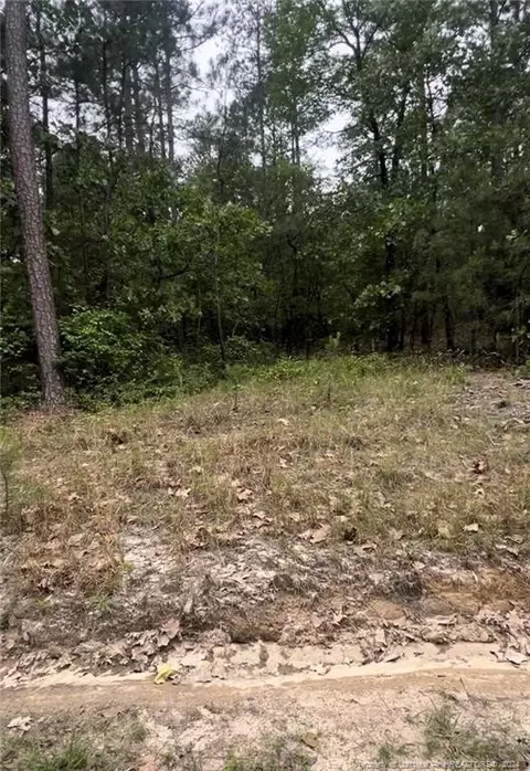 lot24 Cedar Ln, Eagle Springs, NC 27242