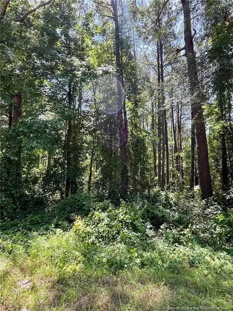 Horseshoe Bend Road, Erwin, NC 28339 photo 3