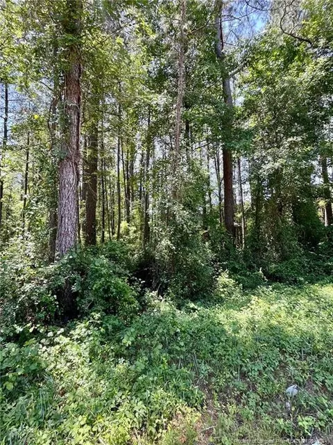 Horseshoe Bend Road, Erwin, NC 28339 photo 2