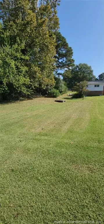 S 14th Street, Erwin, NC 28339 photo 4