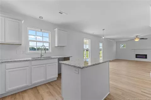 Other - 1314 Chason Rd, Lumber Bridge, NC 28357 photo 5 of 12