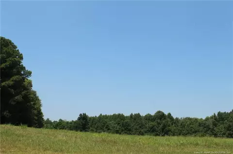 tbd Siler City Glendon Rd, Bear Creek, NC 27207