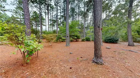 Exterior - 9 Halter Pl, Pinehurst, NC 28374 photo 8 of 9