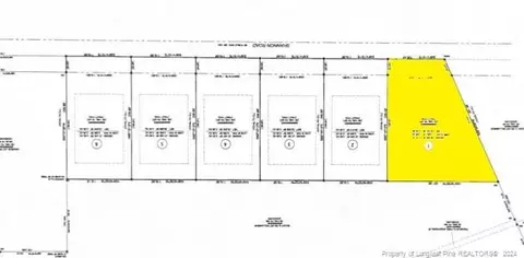 lot1 Shannon Rd, Shannon, NC 28386