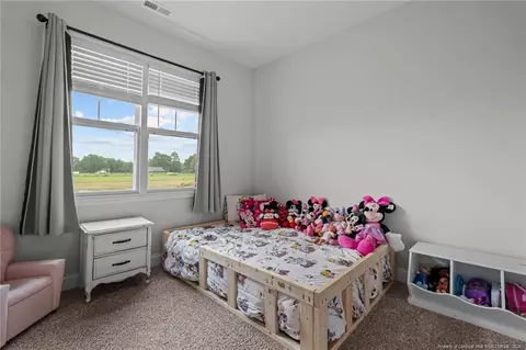 1937 Josey Williams Rd, Erwin, NC 28339 photo 25