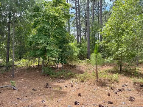tbd Sandy Branch Ln, Aberdeen, NC 28315
