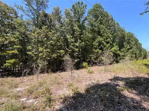 lot1 Raynor Mclamb Rd, Linden, NC 28356 photo 6