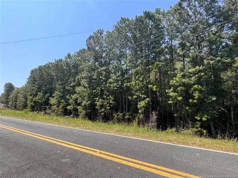 lot1 Raynor Mclamb Rd, Linden, NC 28356 photo 4