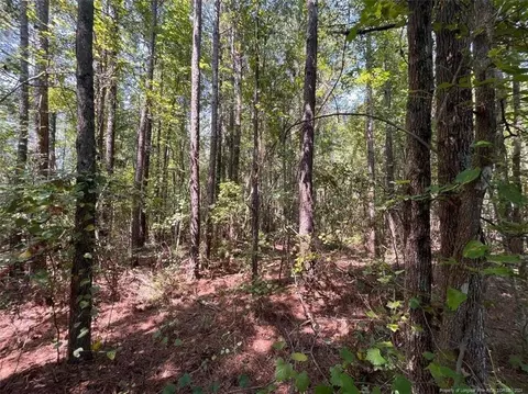 lot1 Raynor Mclamb Rd, Linden, NC 28356 photo 7