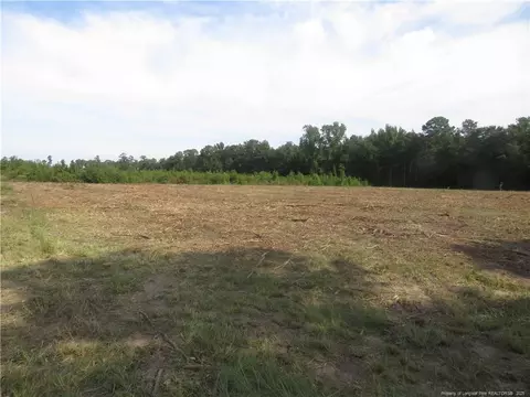 lot D Survey Dr, Fairmont, NC 28340