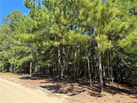 Harris Lane, Raeford, NC 28376 photo 3