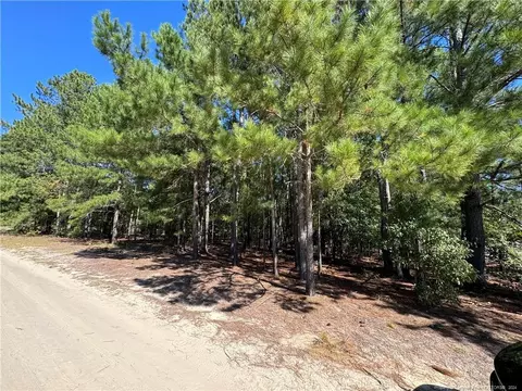 Harris Lane, Raeford, NC 28376 photo 2