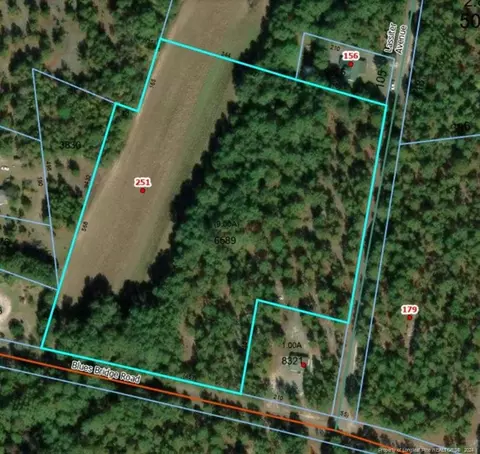 251 Blues Bridge Rd, Hoffman, NC 28347