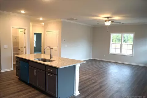 Living - 174 Nectar Ln, Bunnlevel, NC 28323 photo 3 of 5