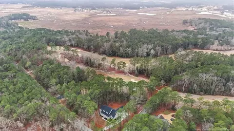 View/Area - 391 Thimbleberry Dr, Vass, NC 28394 photo 2 of 2