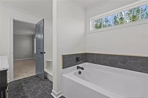 Bath - 123 Persimmon Tree Dr, Cameron, NC 28326 photo 3 of 5