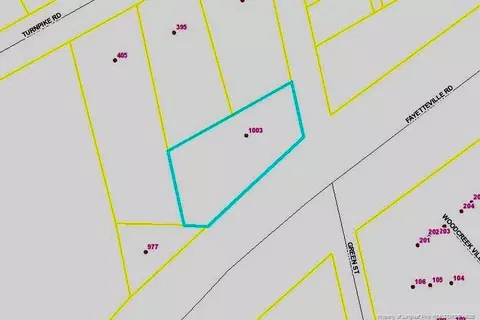 1003 Fayetteville Rd, Raeford, NC 28376