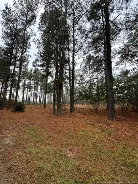 Off Dundee Circle, Raeford, NC 28376 photo 2