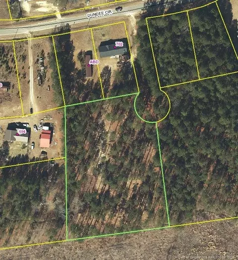 Off Dundee Circle, Raeford, NC 28376 photo 4
