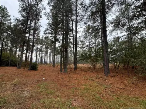 Off Dundee Circle, Raeford, NC 28376
