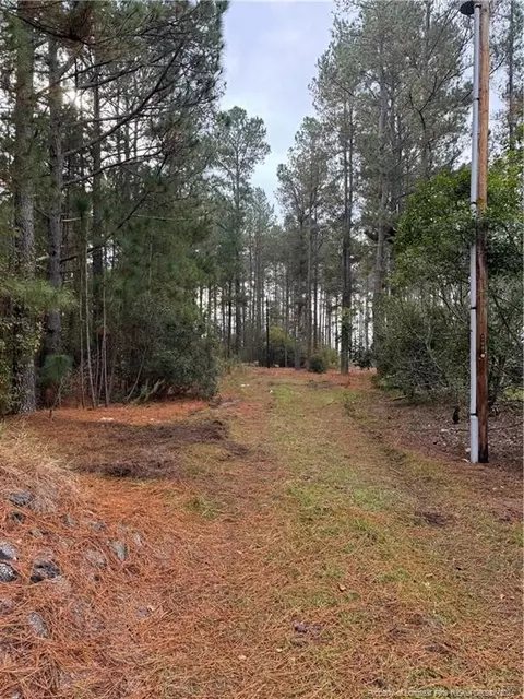 Off Dundee Circle, Raeford, NC 28376 photo 3