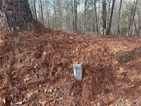 Whiffen Road, Cameron, NC 28326 photo 8