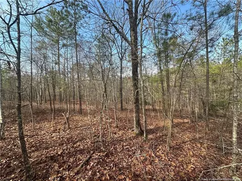 Whiffen Road, Cameron, NC 28326 photo 7