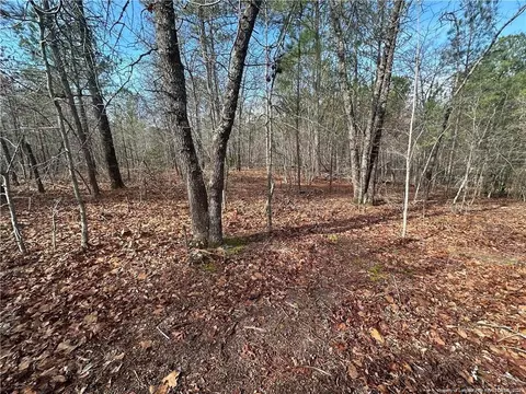 Whiffen Road, Cameron, NC 28326 photo 5