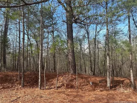 Whiffen Road, Cameron, NC 28326 photo 4