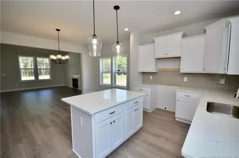 2919 Lemuel Black Rd, Bunnlevel, NC 28323 photo 15