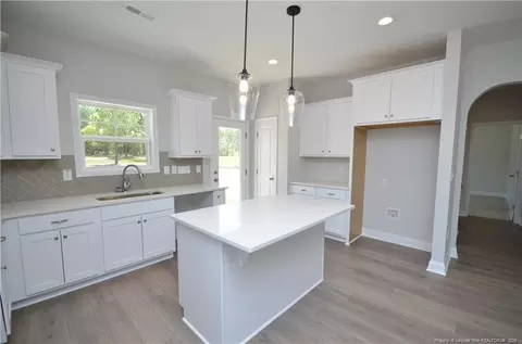 2919 Lemuel Black Rd, Bunnlevel, NC 28323 photo 12