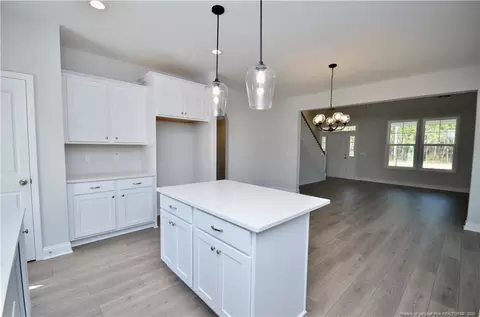 2919 Lemuel Black Rd, Bunnlevel, NC 28323 photo 14