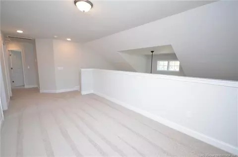 2919 Lemuel Black Rd, Bunnlevel, NC 28323 photo 25