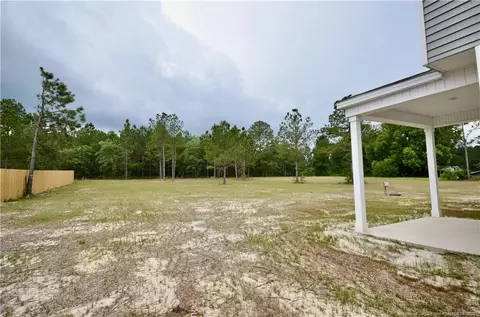 2919 Lemuel Black Rd, Bunnlevel, NC 28323 photo 37