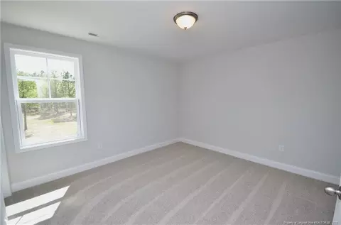 2919 Lemuel Black Rd, Bunnlevel, NC 28323 photo 30