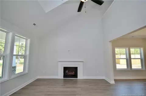 2919 Lemuel Black Rd, Bunnlevel, NC 28323 photo 4