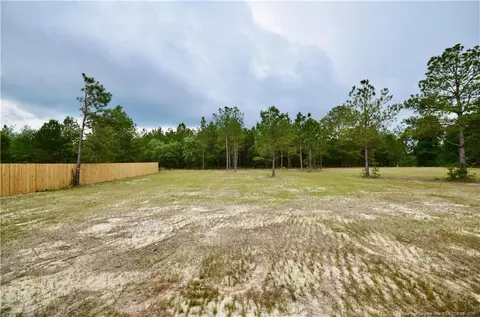 2919 Lemuel Black Rd, Bunnlevel, NC 28323 photo 38