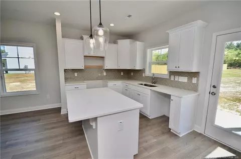 2919 Lemuel Black Rd, Bunnlevel, NC 28323 photo 11