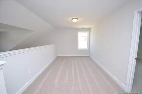 2919 Lemuel Black Rd, Bunnlevel, NC 28323 photo 24