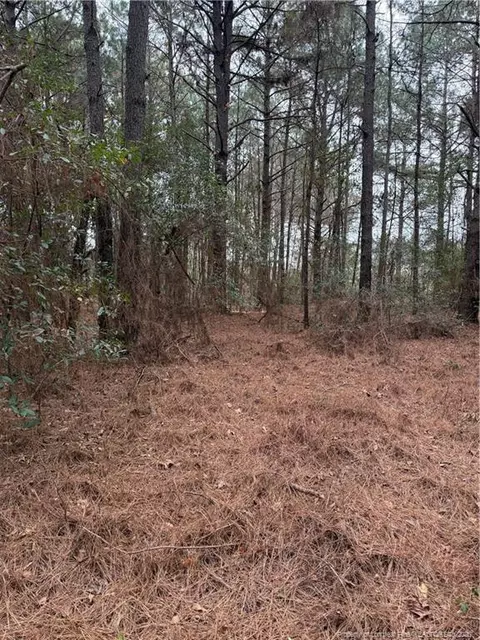5950 Deerstand Rd, Wade, NC 28395 photo 16