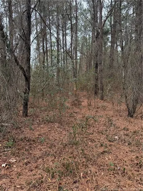5950 Deerstand Rd, Wade, NC 28395 photo 17
