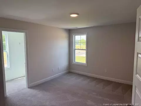 145 Surles Landing Way, Benson, NC 27504 photo 11