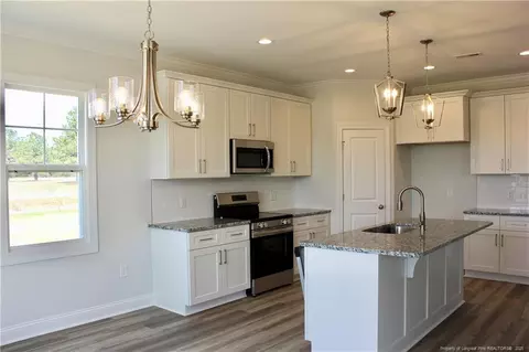 24 Surles Landing Way, Benson, NC 27504 photo 3