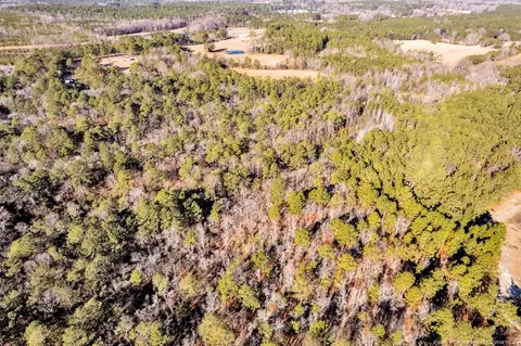 Docs Road, Lillington, NC 27546 photo 17