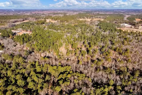 Docs Road, Lillington, NC 27546 photo 16