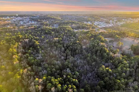 Docs Road, Lillington, NC 27546 photo 5