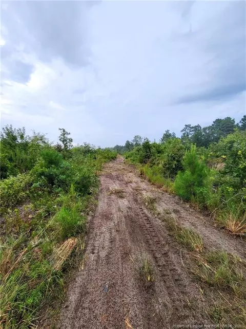 0 Terry Dr, Marston, NC 28363 photo 3