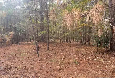 0 Hendrix Rd, Raeford, NC 28376 photo 6