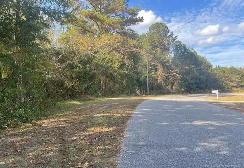 0 Hendrix Rd, Raeford, NC 28376 photo 5