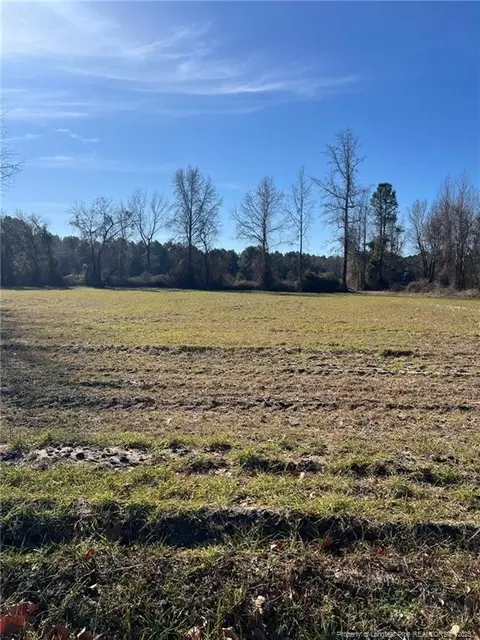 Kennel Road, Wade, NC 28395